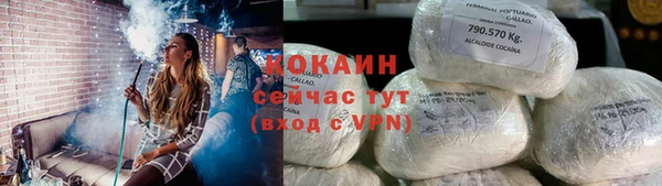 гашик Михайловск