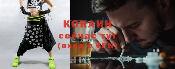 гашик Михайловск