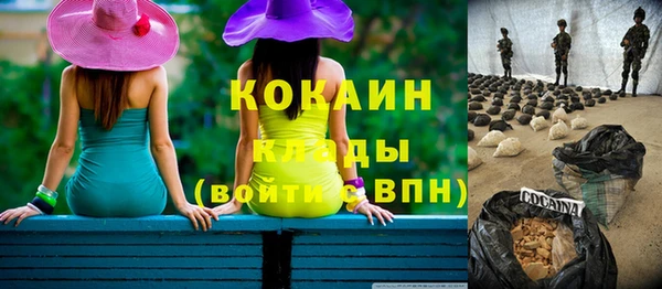 гашик Михайловск