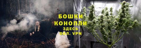 PSILOCYBIN Михайловка