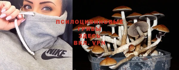 мескалин Михайлов